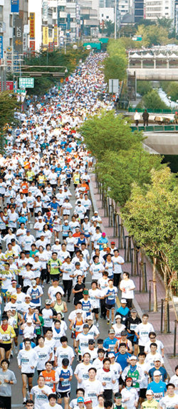 9000명이 가을과 함께 달렸다12일 열린 2008 하이서울마라톤(서울시 주최·동아일보사 특별후원)에서 서울광장을 출발한 참가자들이 청계천 옆길을 달리고 있다. 올해로 6회째를 맞은 이 대회에는 9000여 명이 참가해 청계천∼한강∼서울숲으로 이어지는 환상적인 코스를 즐겼다. 풀코스에서는 손현 씨가 2시간37분40초, 이정숙 씨가 2시간53분22초로 각각 남녀부 정상에 올랐다. 원대연 기자