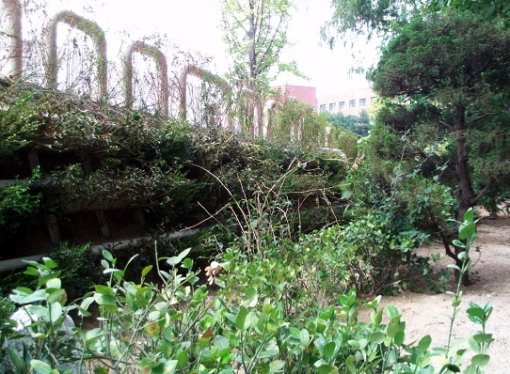 강원대학교 인문대학 주변에 설치된 그린판넬식 식생옹벽. 주변 환경과 조화롭게 구성돼있다.