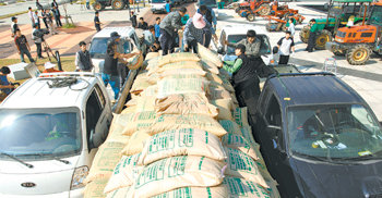 전남도청앞 벼 야적시위 전국농민회 광주·전남연맹 회원들이 20일 전남 무안군 전남도청 앞 광장에 벼 2800여 포대를 야적하고 있다. 이들은 부당하게 쌀 직불금을 받은 이들의 명단 공개와 쌀값 보장을 요구하며 벼 야적 시위를 벌였다. 무안=박영철 기자