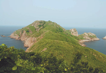 특정도서로 지정된 십이동파도 4번섬의 팽나무 군락지. 사진 제공 환경부