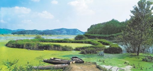 ‘생태계 보고’ 우포늪 세계 환경인의 축제인 제10차 람사르협약 당사국총회가 경남 창원시에서 28일부터 11월 4일까지 열린다. 면적이 170만 ㎡에 이르는 국내 최대의 자연 늪지인 우포늪. 창녕=박영철 기자