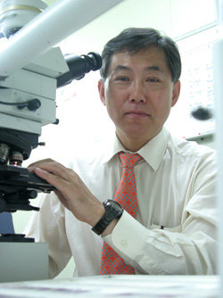 김한겸 고려대학교 병리학과 교수