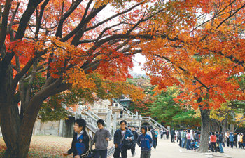 11일 단풍이 짙게 물든 경북 경주시 불국사에서 관광객들이 가을의 정취를 즐기고 있다. 연합뉴스