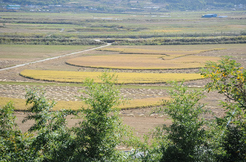 조상 교수가 형상화한 대지미술인 ‘달을 문 새’가 순천 농지에 펼쳐져 있다.