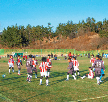 15일 전남 강진군 강진읍 교촌리 천연잔디구장에서 서울에서 온 초등학교 축구부 선수들이 동계훈련을 하고 있다. 사진 제공 강진군