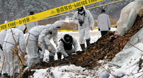 25일 오전 실종 군포 여대생 살해 용의자를 검거한 경찰이 경기도 안산 본오동에서 실종된 여대생의 사체를 수습하고 있다. (안산=연합뉴스)