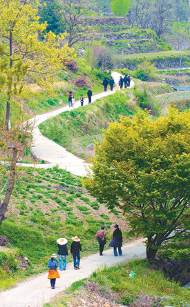 지난해 4월 시범 개통한 경남 함양군 휴천면 송전리 세동마을 지리산 숲길. 사진 제공 산림청