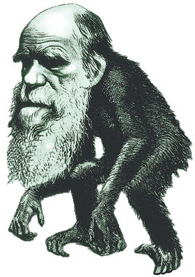 다윈이 진화론을 처음 내놓았을 때 사람들은 그를 ‘원숭이 인간’으로 부르며 진화론을 비웃었지만 진화론은 발전을 거듭했고 이제는 생물학 범주를 넘어 다양한 분야에 영향을 끼치고 있다. 진화론자 데이비드 슬론 윌슨은 “진화론은 살아있는 모든 것들의 행동의 이유를 설명하는 이론”이라고 말한다. 동아일보 자료 사진