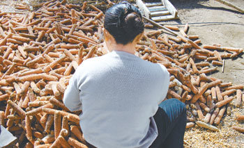 탈북 후 중국 허베이 성 산골마을에서 살고 있는 여성 J 씨(31)가 자신의 집 마당에서 옥수수를 다듬고 있다. J 씨는 중국인 남편에게 팔려 와 농사를 지으며 살고 있다. 허베이=구자룡 특파원