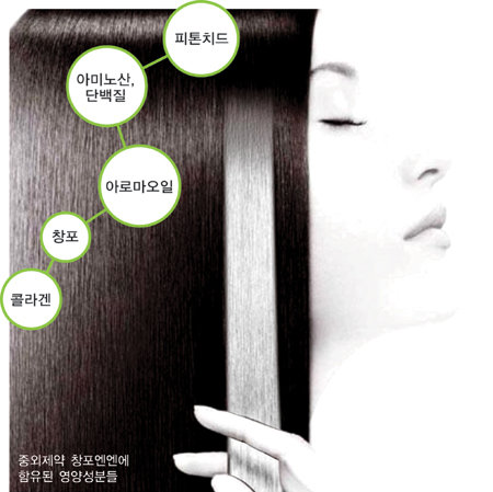 건강]알쏭달쏭 '흰머리와 새치' 구별법｜동아일보