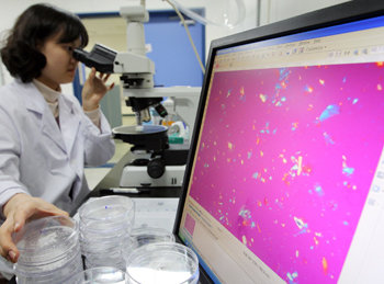 석면 탤크 공포가 확산되고 있는 가운데 식품의약품안전청 소속 연구원이 탤크 원료 중 석면 확인 실험을 하고 있다. 연합뉴스