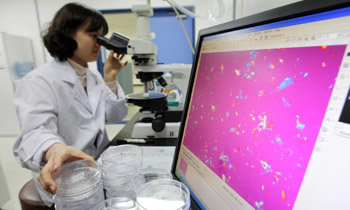 식품의약품안전청 의약외품과 연구원이 편광현미경을 이용해 탤크 원료 중 석면 확인 실험을 하고 있다.