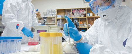 멕시코산 돼지고기 정밀검사 경기 안양시 국립수의과학검역원 질병진단센터 연구원들이 27일 멕시코산 돼지고기 시료를 접수한 후 돼지인플루엔자 바이러스 유무를 확인하기 위해 정밀검사를 하고 있다. 안양=원대연 기자