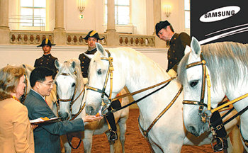 최방섭 삼성전자 오스트리아 법인장(왼쪽에서 두 번째)이 최근 빈 왕립승마학교를 방문해 엘리자베스 귀르틀러 대표(왼쪽)와 함께 이 학교의 명물인 리피차너 백마에게 먹이를 주고 있다. 사진 제공 삼성전자