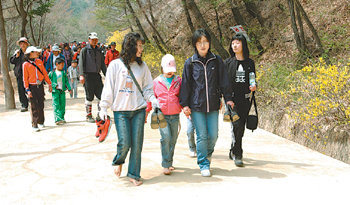 지난해 열린 문경새재 맨발걷기대회에서 참가자들이 신발을 벗어들고 황톳길을 걷고 있다. 사진 제공 문경시