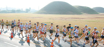 천년고도 경주를 달리며 문화유산을 감상하는 경주국제마라톤이 10월 18일 열린다. 사진은 지난해 대회에서 마라토너들이 신라 고분 유적지 옆을 달리는 모습. 동아일보 자료 사진