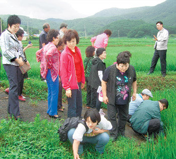 경남 고성군이 14개면, 30개 단지 388ha에서 추진하고 있는 생명환경농업이 전국적인 관심을 끌면서 방문객들의 발길이 잇따르고 있다. 사진 제공 고성군