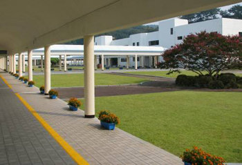 법무부가 오는 17일 중.장기 수형자의 사회복귀 지원을 위한 `사회적응훈련원\'을 천안시 서북구 신당동에 개원한다.` 담 없는 교도소\'인 천안개방교도소를 사회적응훈련원으로 전환한 것이다. 사진은 훈련원의 전경.  연합뉴스