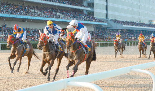 지난해 과천 서울경마공원에서 열린 제12회 동아일보배 대상경주에 출전한 말과 기수들이 결승선을 향해 힘차게 질주하고 있다. 동아일보 자료 사진