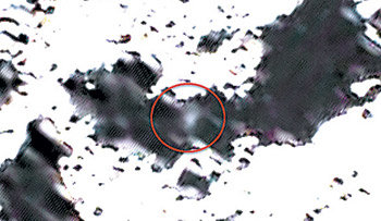 9일 미국항공우주국(NASA)의 달 표면 충돌 실험 이후 NASA가 제공한 충돌사진. 충돌 15초 후 먼지 파편 기둥(원 안)은 지름 6∼8km, 높이는 1.6km에
달했다고 NASA는 밝혔다. NASA=AP 연합뉴스