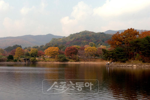 에버랜드 ‘호암호수’ 주변.