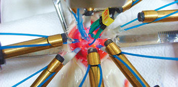 쥐 뇌에 근적외선을 쪼여 활성화된 뇌 부위를 측정하고 있다. 사진 제공 고려대 생체의공학과