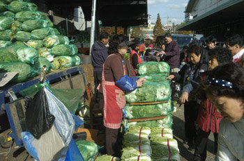 12일 인천 남동구 구월동 농산물도매시장을 찾은 주부들이 김장에 쓸 배추를 고르고 있다. 배추는 1포기 1500원, 무는 1봉지(5, 6개) 2500∼3000원에 각각 판매되고 있다. 김영국 동아닷컴 객원기자