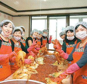 삼성토탈 김장 태스크포스 ‘한식문화위원회’ 회원들이 지난달 말 한데 모여 전국 각지의 김치 제조법으로 직접 김치를 담그고 있다. 사진 제공 삼성토탈