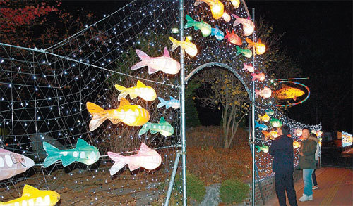 강원 화천군이 내년 1월 열리는 산천어축제의 붐 조성과 성공 개최 염원을 담아 만든 산천어등이 화천읍 중심가에 설치돼 있다. 사진 제공 화천군