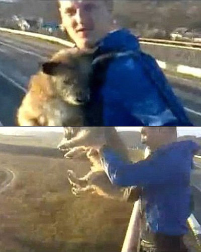 개가 날 수 있는지 실험해보겠다며 다리 위에서 개를 투척하는 모습. 이 동영상은 유튜브에 올라 누리꾼들을 충격에 빠트렸다.
