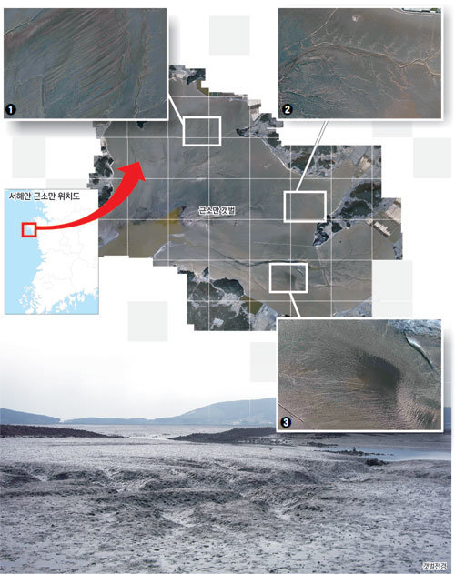 포털사이트 다음에 서비스되는 항공사진을 퍼즐 맞추듯 붙여 갯벌 전체의 고해상도 사진을 만들었다. 기존 사진에서 잘 드러나지 않았던 물결 형태의 갯벌 지형(사진①)과 복잡한 조류로(사진②), 그간 볼 수 없던 새로운 지형(사진③)이 나타났다. 사진 제공 다음·한국해양연구원