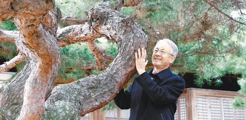 서울 덕수궁에서 소나무를 어루만지던 박상진 경북대 명예교수는 “건조가 잘된 나무로 지은 목조건물은 천년 세월도 너끈히 견뎌낸다”고 말했다. 김미옥 기자