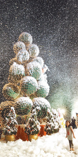 오차드 길이 시작되는 탕린 몰 앞에서는 매일 밤 비눗방울로 만든 인공눈이 뿌려진다. 매년 이맘때가 되면 한여름 밤에 화이트 크리스마스의 정취를 즐기려는 사람들이 이곳으로 몰려든다.