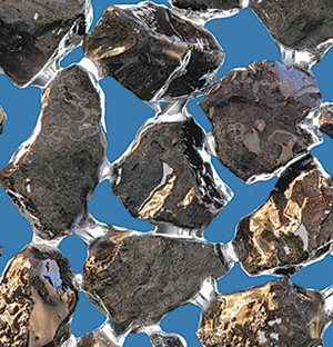 사진 제공 바스프