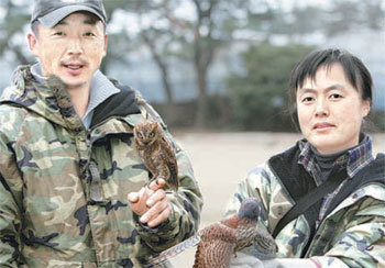 새에 대한 관찰일기와 도감을 함께 엮어 책으로 출간한 강창완, 김은미 씨 부부. 소쩍새, 황조롱이가 손에 들려 있다.