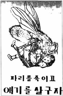 1921년 경성부가 주도한 ‘파리 박멸 운동’ 당시 제작된 전단. 사진 제공 서울대병원 병원역사문화센터