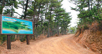 충남 태안군 소원면 해안 인근의 산책로. 기름제거 작업을 위해 만든 방제길이었으나 최근 태안군이 관광로로 조성했다. 태안군은 이런 길들을 이어 1300리 솔향기길을 조성한다. 사진 제공 태안군