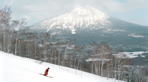 홋카이도에서도 최고의 파우더스노스킹을 즐길 수 있는 니세코 유나이티드의 안누푸리 고쿠사이 스키장.