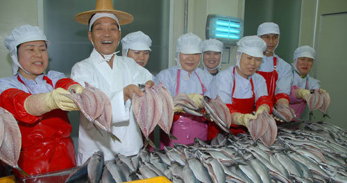 ㈜안동간고등어 이동삼 공장장(왼쪽에서 두 번째)과 직원들이 소금을 치기 위해 다듬은 고등어를 보여주고 있다. 이권효 기자