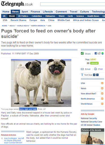 사진 출처=  ‘텔레그레프’ 화면 캡처