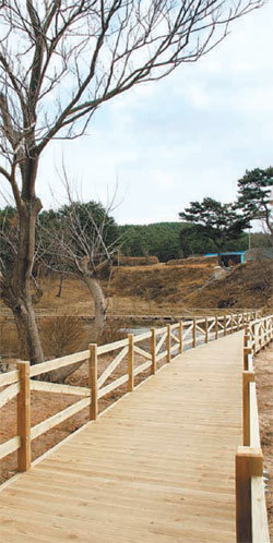 천리포수목원에 최근 개설돼 일반에 개방된 ‘밀러의 사색길’. 사진 제공 천리포수목원