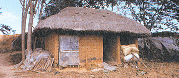 흙벽돌로 지은 충청도의 뒷간 겸 헛간. 지붕이 어엿하고 나무가 둘러서 있어 뒷간으로는 더 바랄 것이 없다. 사진 제공 기파랑