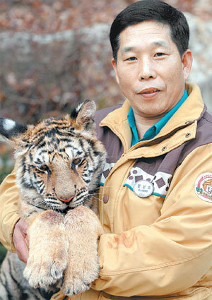 지난해 12월 28일 에버랜드 동물원에서 ‘호랑이 아빠’ 정상조 씨가 7개월 된 황호 ‘경인’이를 품에 안았다. 경인년 호랑이해를 맞아 경인이라는 이름을 붙였다. 사진 제공 에버랜드
