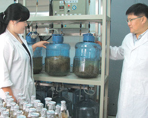 제주대 아열대원예산업연구소에서 이효연 소장(오른쪽)이 배양액에서 증식하는 산삼뿌리를 살펴보고 있다. 제주=임재영 기자