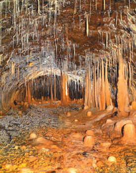 지난해 6월 발견된 제주시 구좌읍 월정남지미동굴 내부. 생성과정 등에 대한 학술조사가 이뤄진다. 사진 제공 제주도