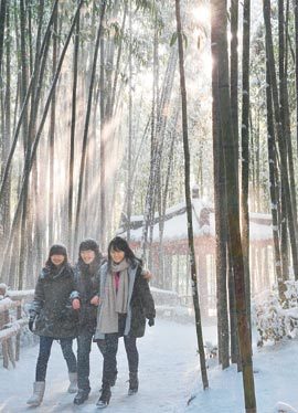 100만 그루의 대나무를 자랑하는 전남 담양군 ‘죽녹원’이 전국적인 녹색여행지로 떠올라 지난해 입장객 수가 130만 명을 넘어섰다. 사진 제공 담양군