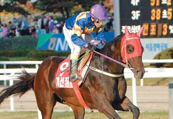 지난해 부산경남경마공원 대표마로 뽑힌 ‘개선장군’의 역주 모습. 개선장군은 씨수말로 전향하기 위해 24일 은퇴식을 가졌다. 사진 제공 부산경남경마공원