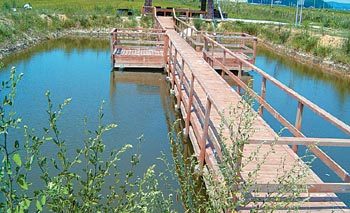 3년 전 복원된 전남 해남군 문내면 예락마을 둠벙. 관정을 파서 물길을 트고 바닥을 파낸 뒤 생태탐방로를 설치했다. 사진 제공 전남도