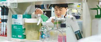 경북대병원 생명의학연구소에서 한 연구원이 신약 관련 실험을 하고 있다. 정부가 대구 첨단의료복합단지를 합성신약 등으로 특성화하기로 하자 지역에서 기대와 우려가 교차하고 있다. 사진 제공 경북대병원