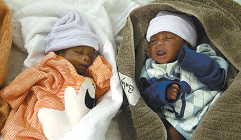 고통없이 자랐으면…
무너진 땅에서도 생명은 태어난다. 지난달 31일 아이티 수도 포르토프랭스의 한 병원에서 갓 태어난 아기 두 명이 수건에 싸여 곤히 자고 있다. 포르토프랭스=AP 연합뉴스